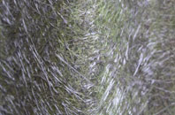 West Acton fibreglass roof work